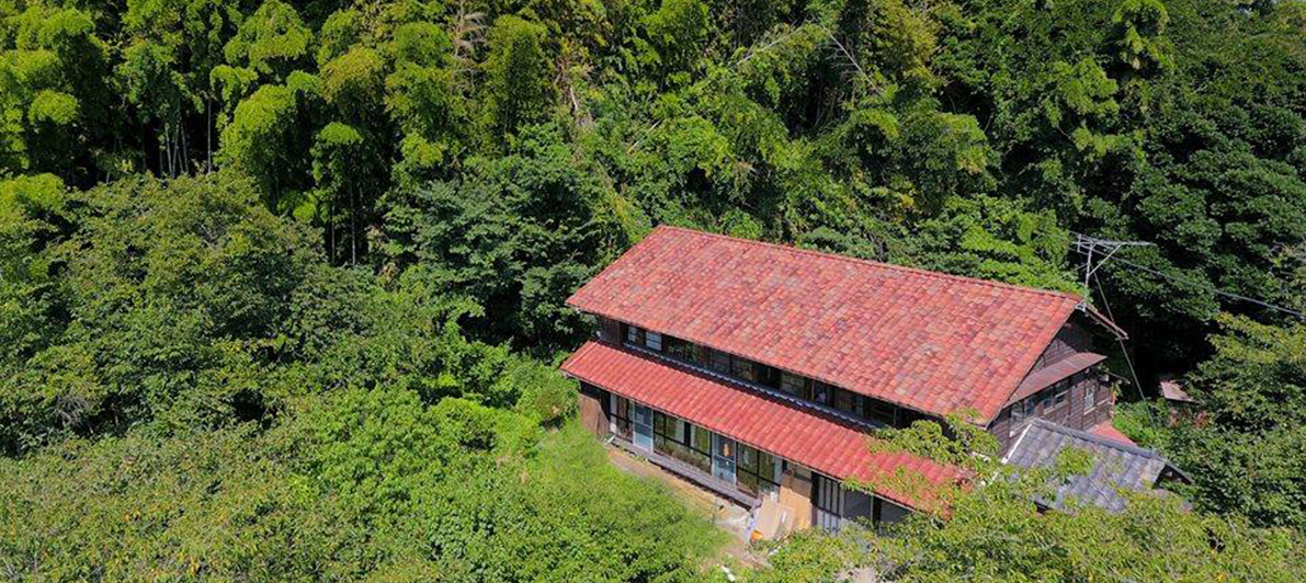 たけのこ庵　緑が生い茂る庭